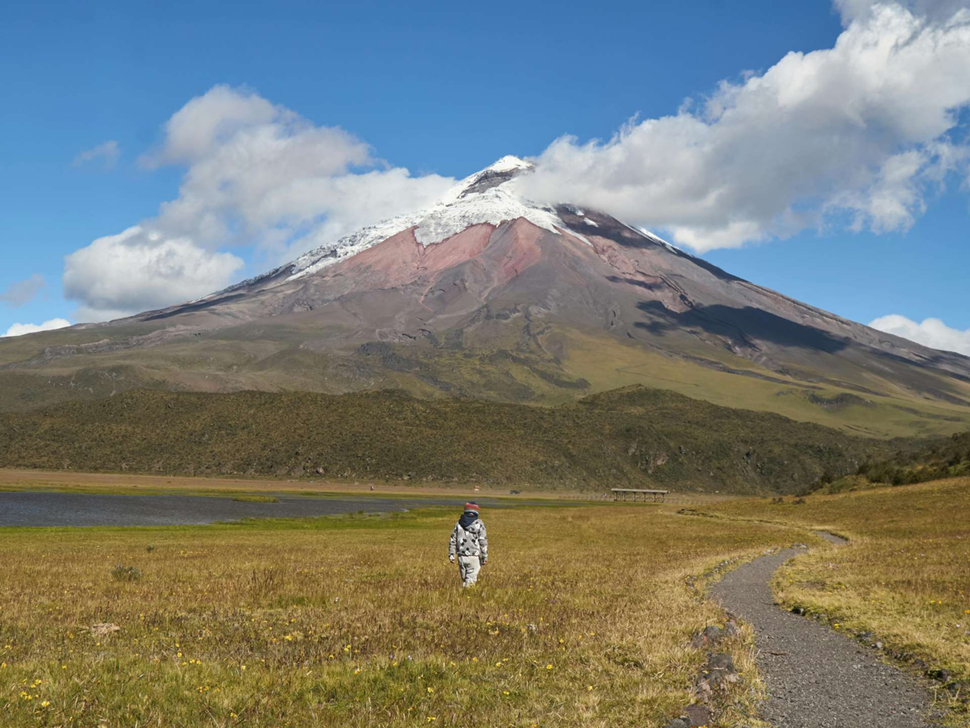 10 Best Tours and Trips in Cotopaxi National Park in 2025/2026 - Compare Prices