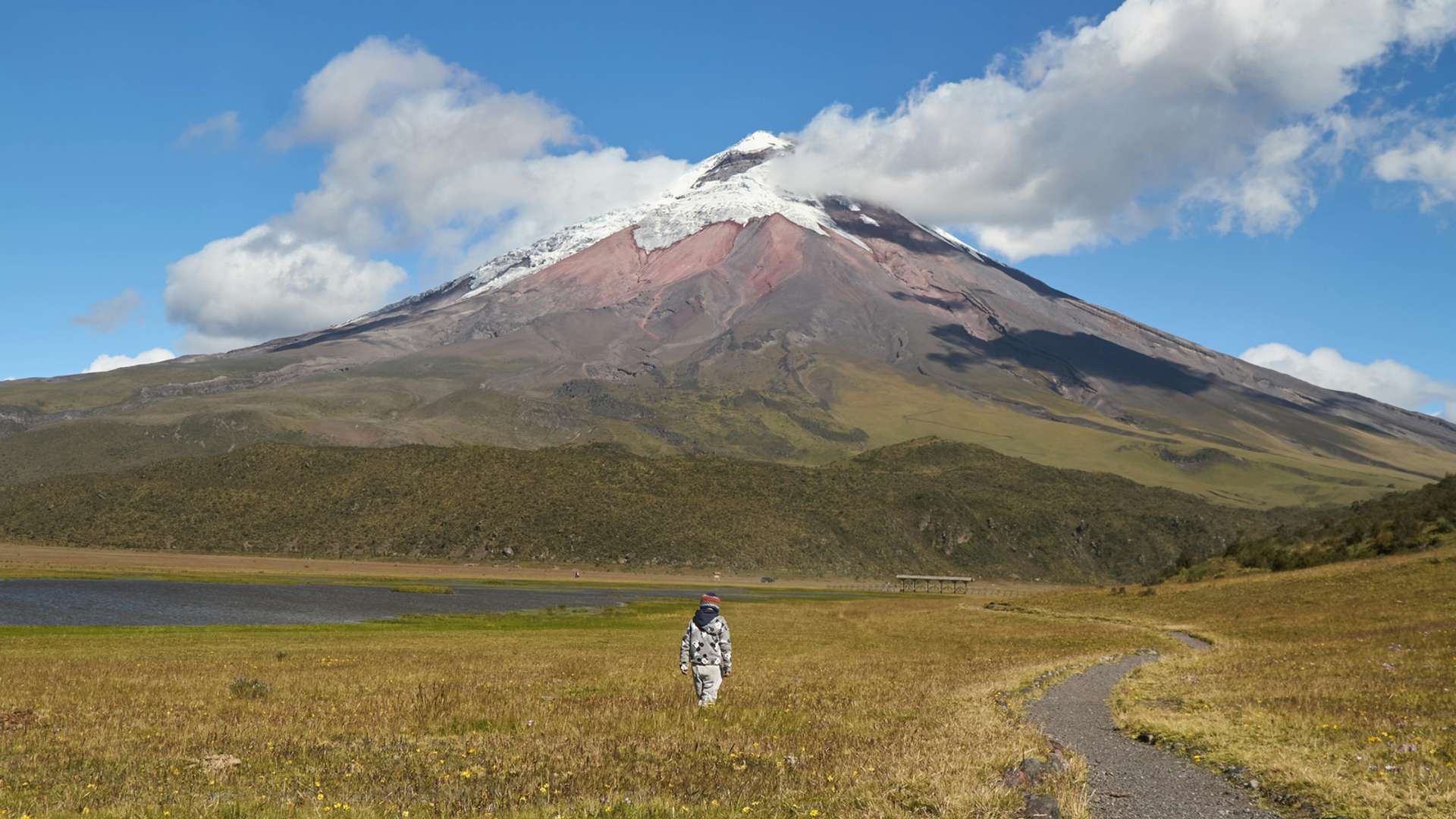 Cotopaxi National Park Tours and Trips