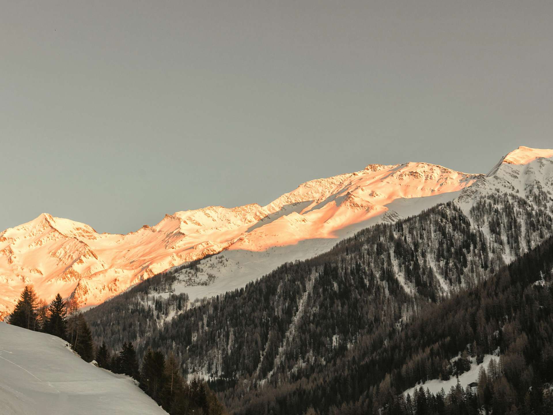 10 Best Tours and Trips in Courmayeur in 2025/2026 - Compare Prices