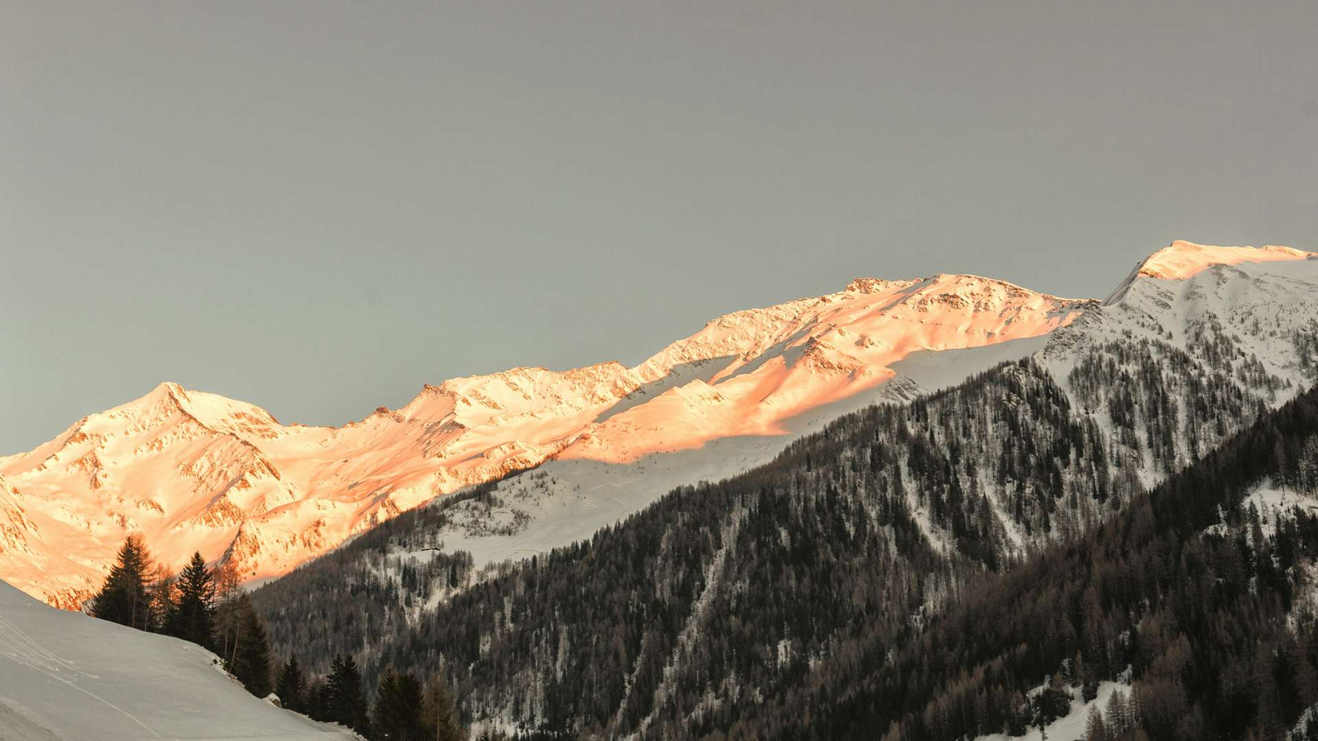 Courmayeur Tours and Trips