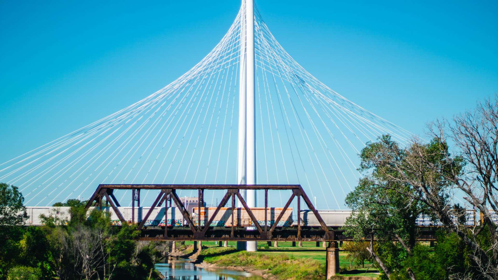 Dallas Tours and Trips