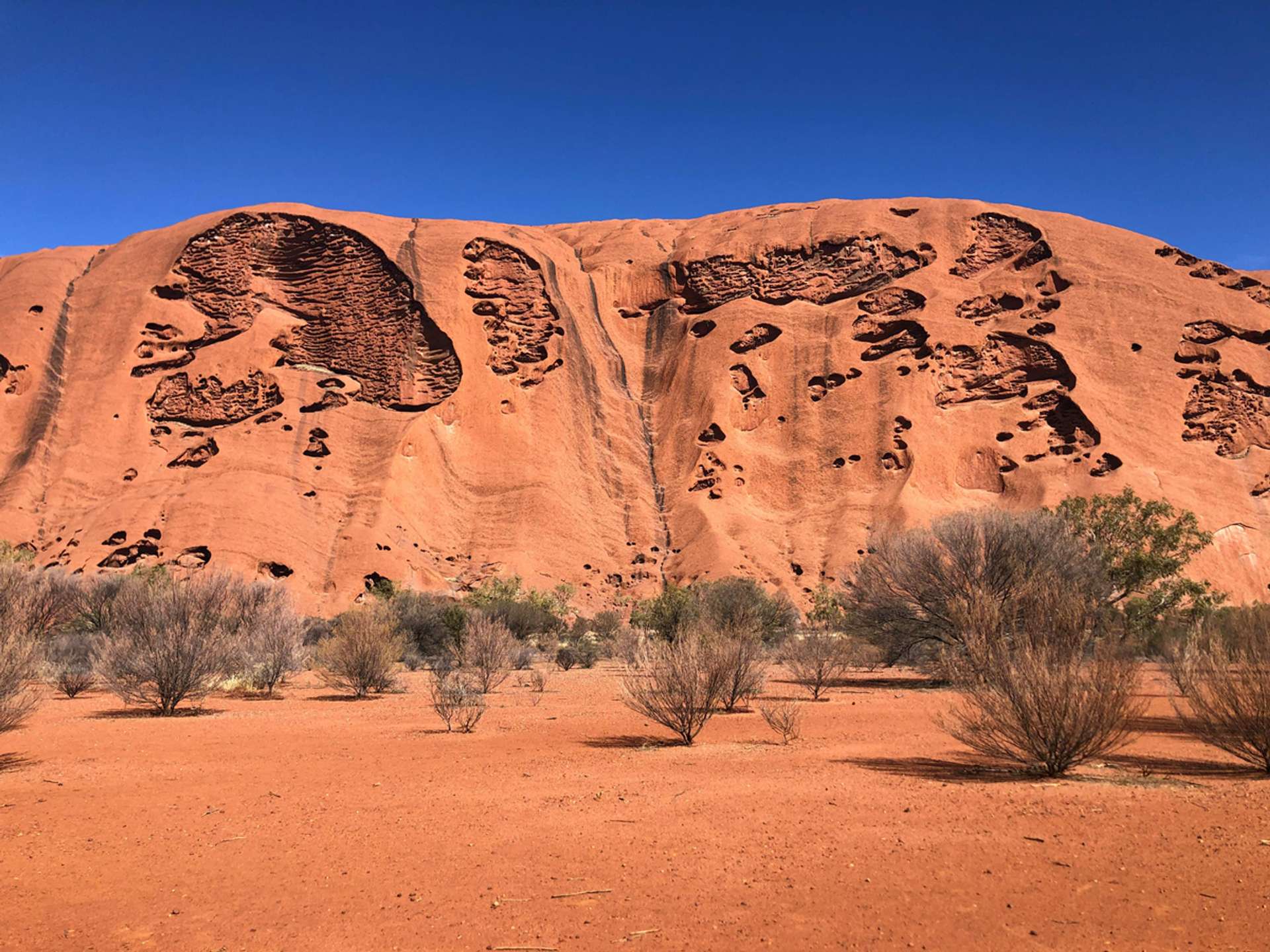 10 Best Darwin, Uluru and Northern Territory Multiday Tours in July 2026