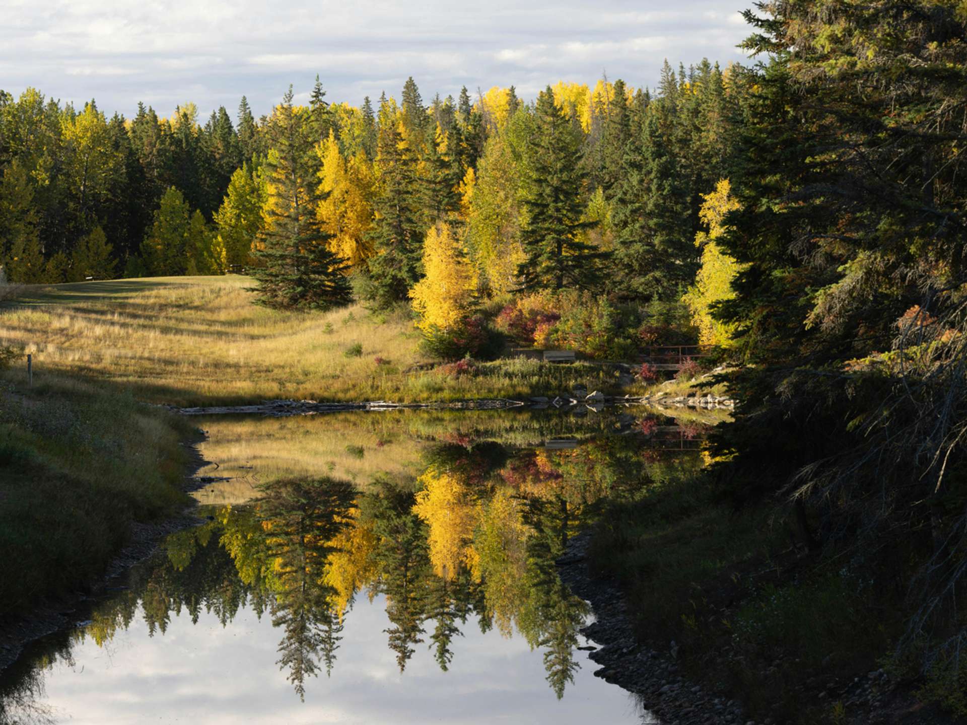 Deer Lake Explorer Trips in 2025/2026