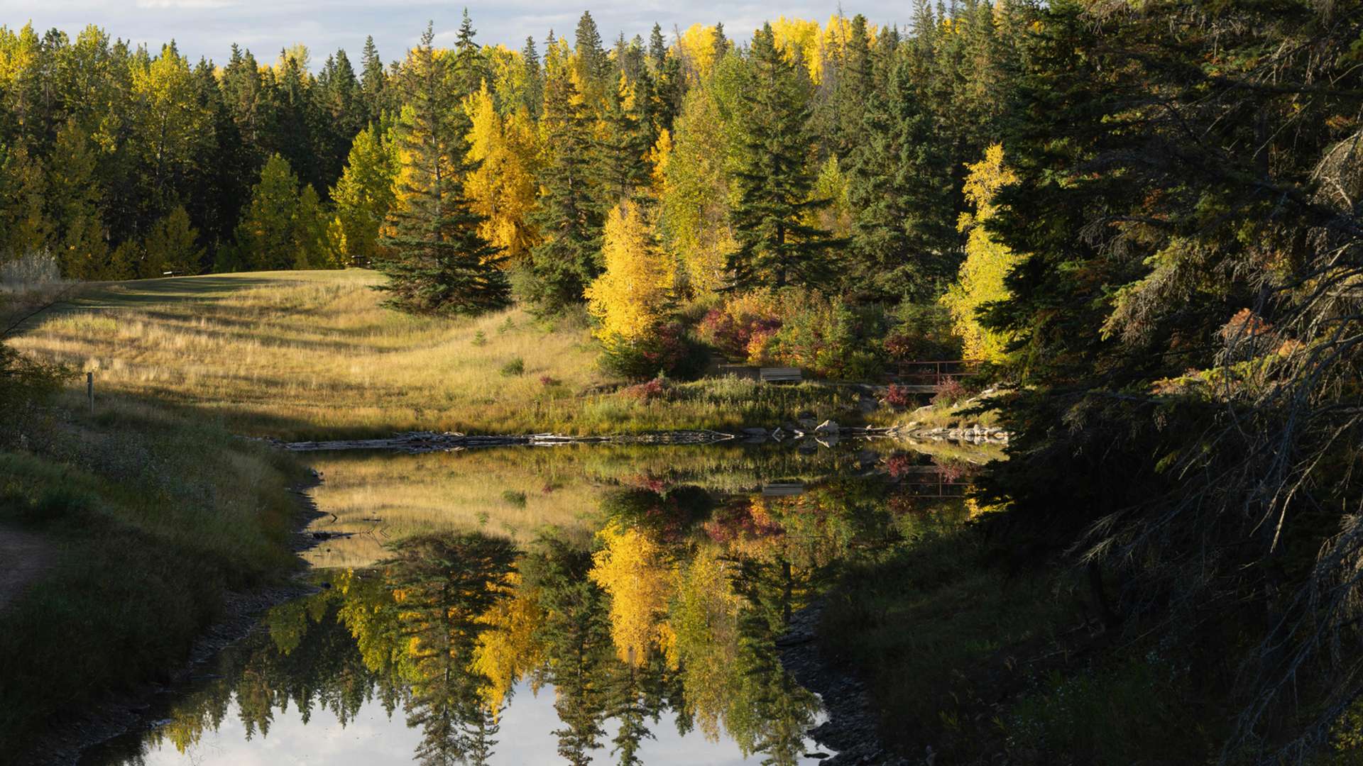 Deer Lake Explorer Trips
