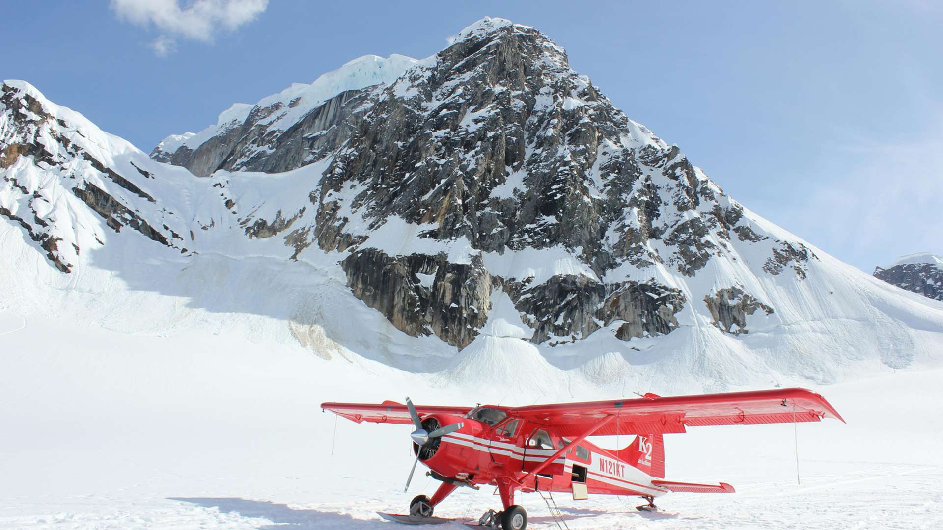 Denali National Park Tours in Summer