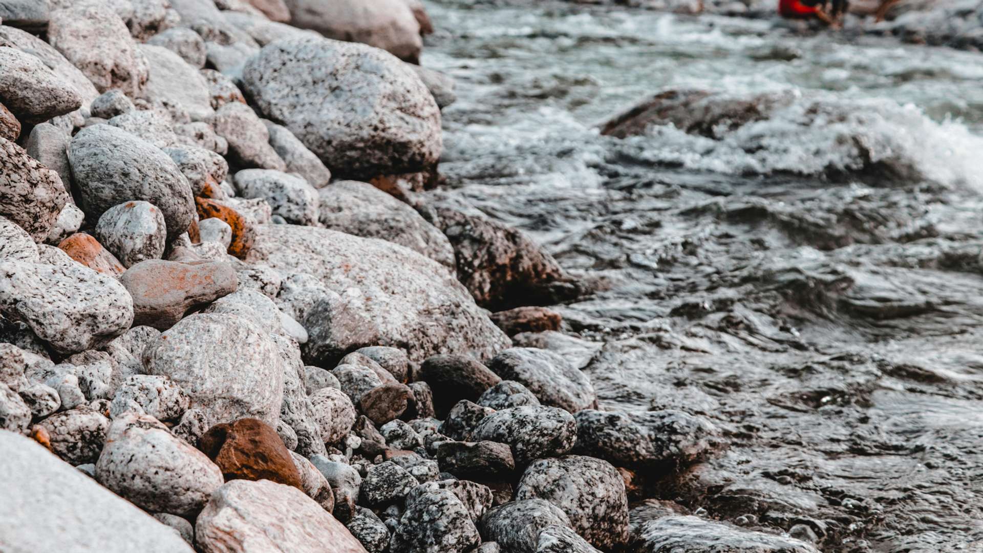 Dharamshala Tours and Trips