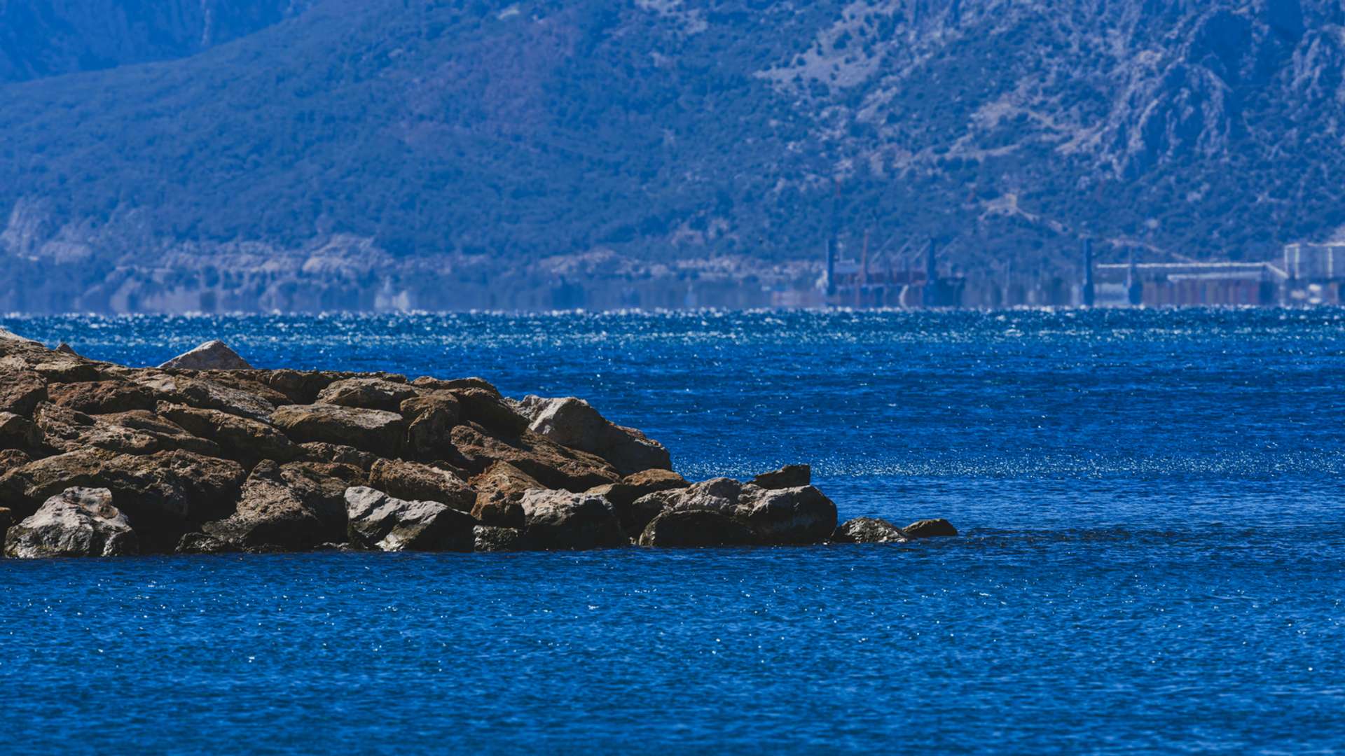 Disko Bay Tours and Trips