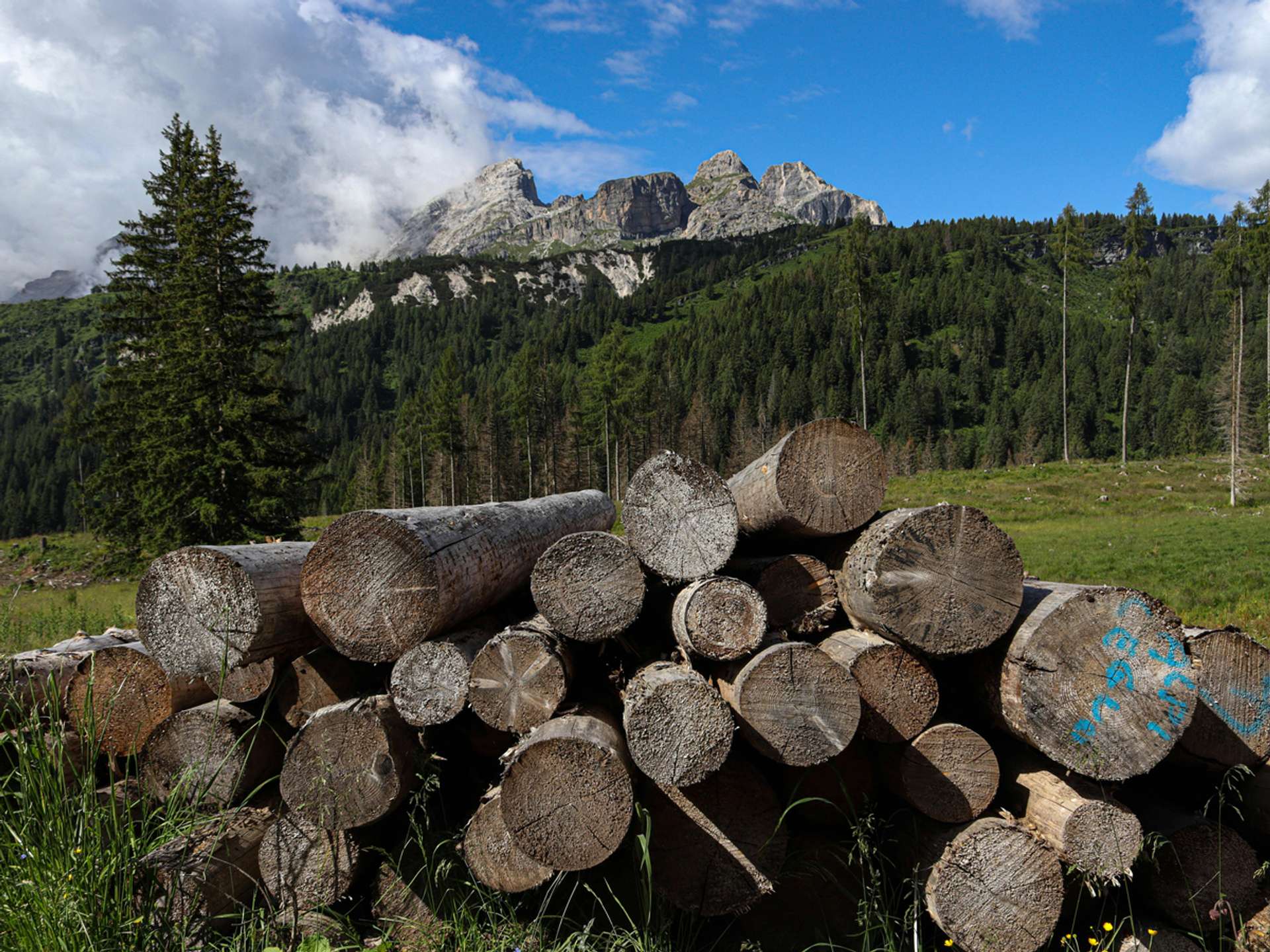10 Best Tours and Trips in Dolomites in 2025/2026 - Compare Prices