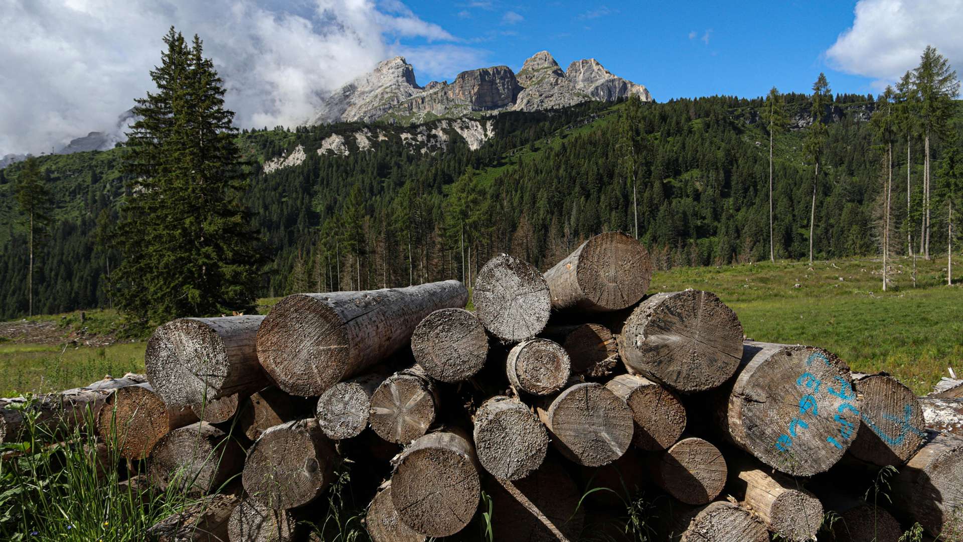 Dolomites Tours in Fall
