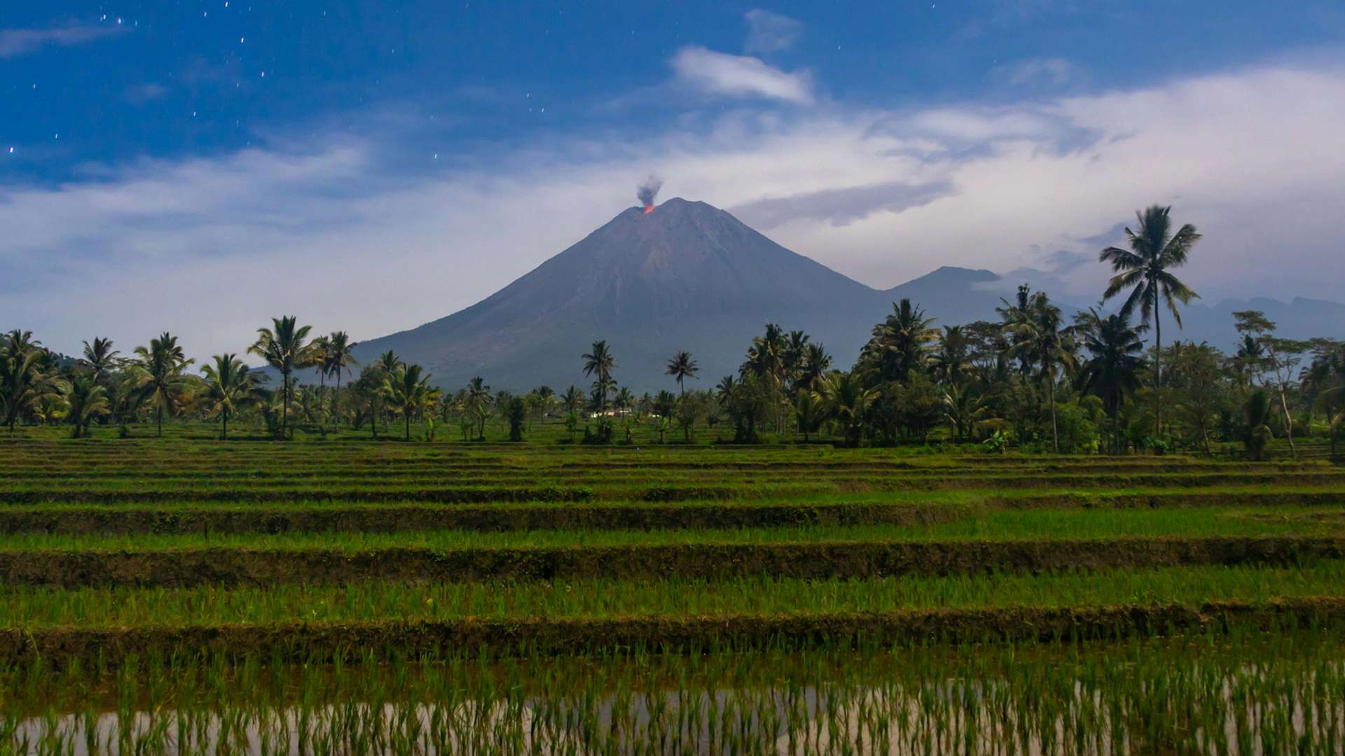East Java Tours and Trips