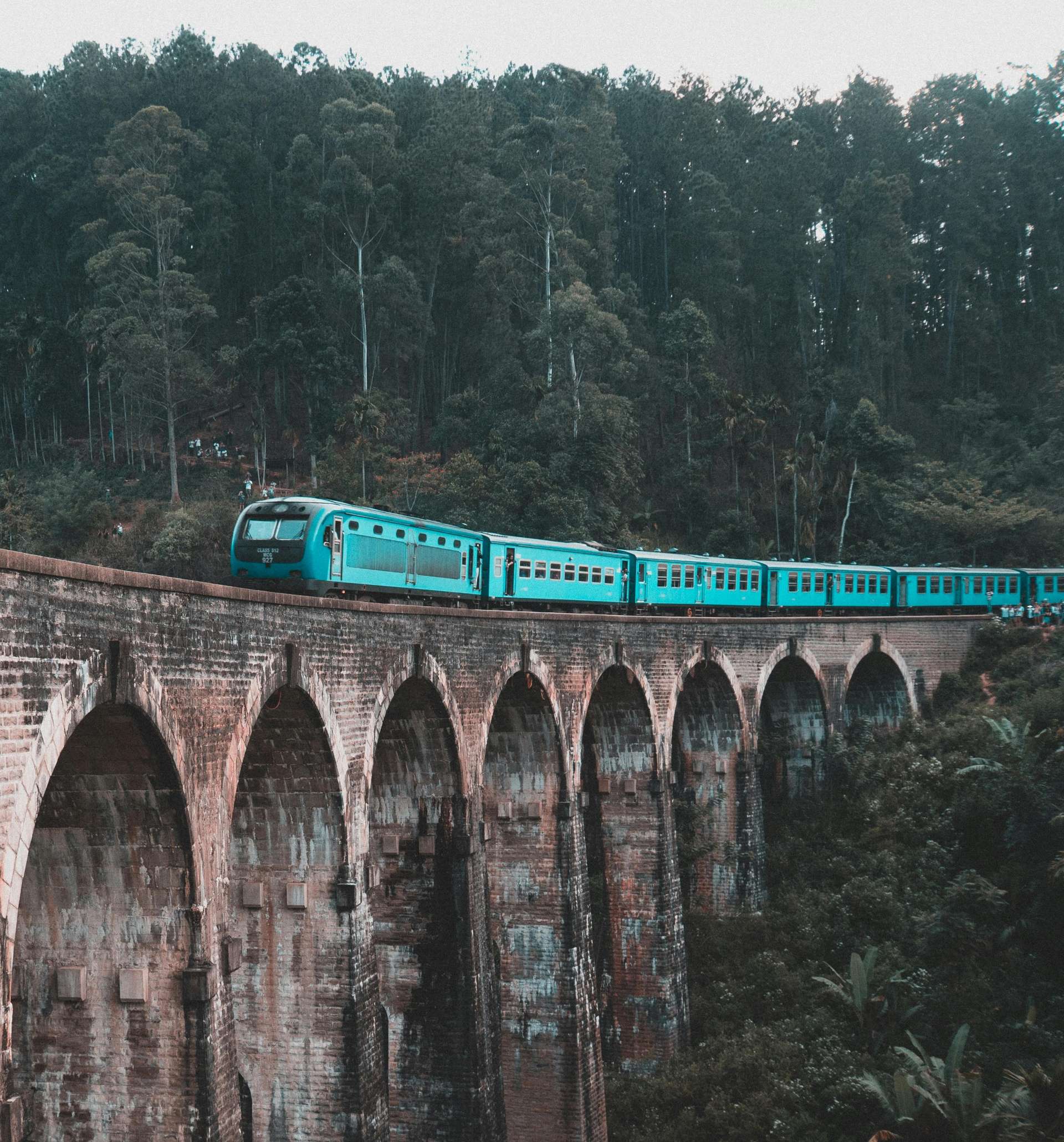 10 Best Tours and Trips in Ella in 2025/2026 - Compare Prices