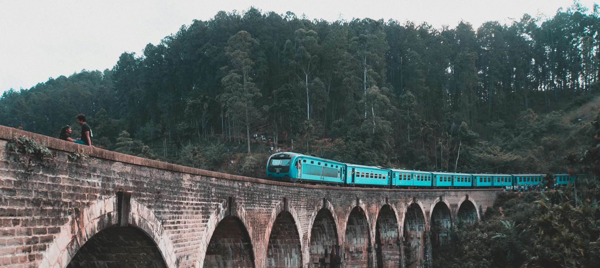 Ella Tours and Trips