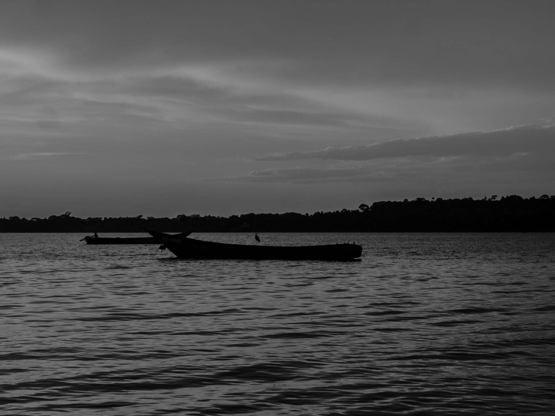 10 Best Tours and Trips in Entebbe in 2025/2026 - Compare Prices
