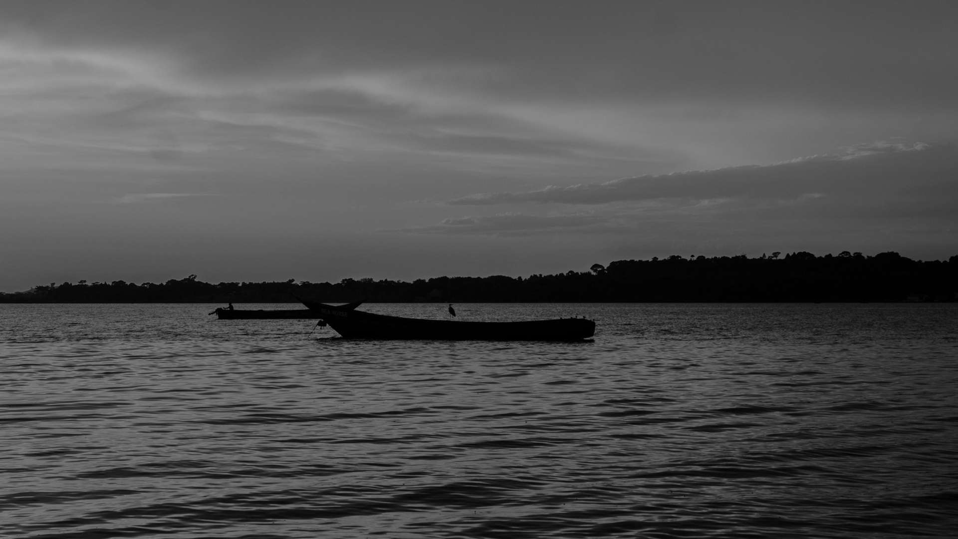 Entebbe Tours and Trips