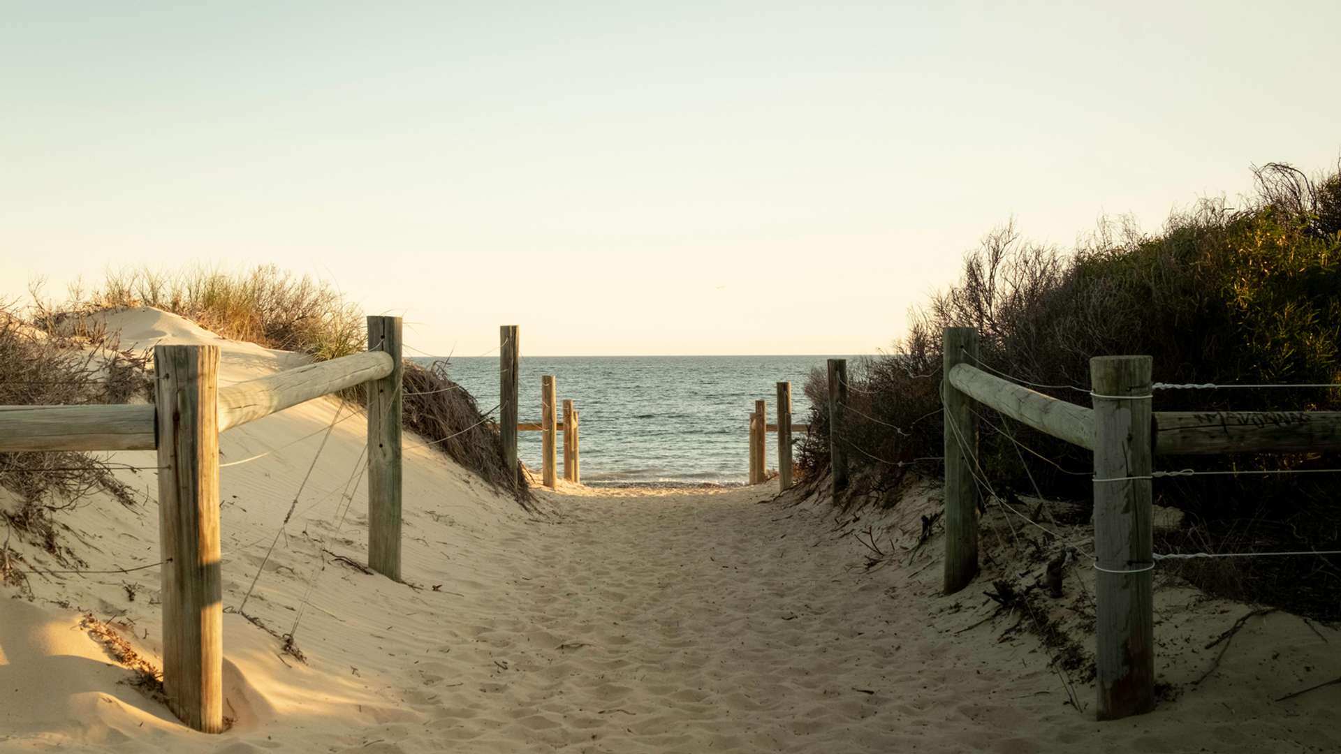 Fremantle Tours and Trips
