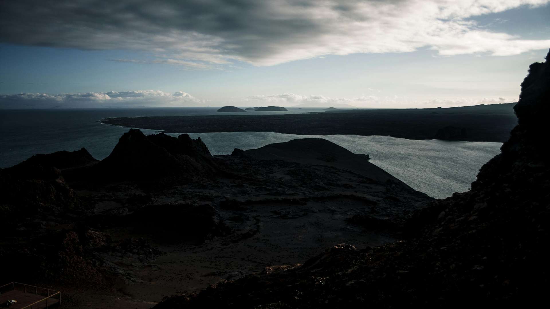 Galapagos Islands Wildlife Trips