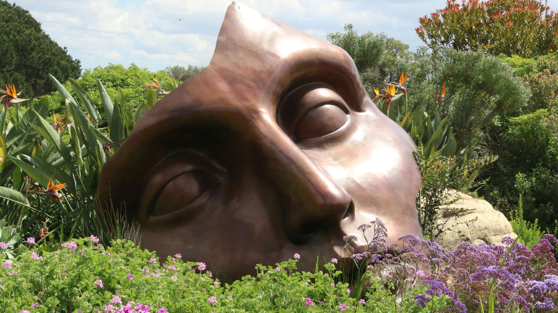 Garden Route Tours and Trips