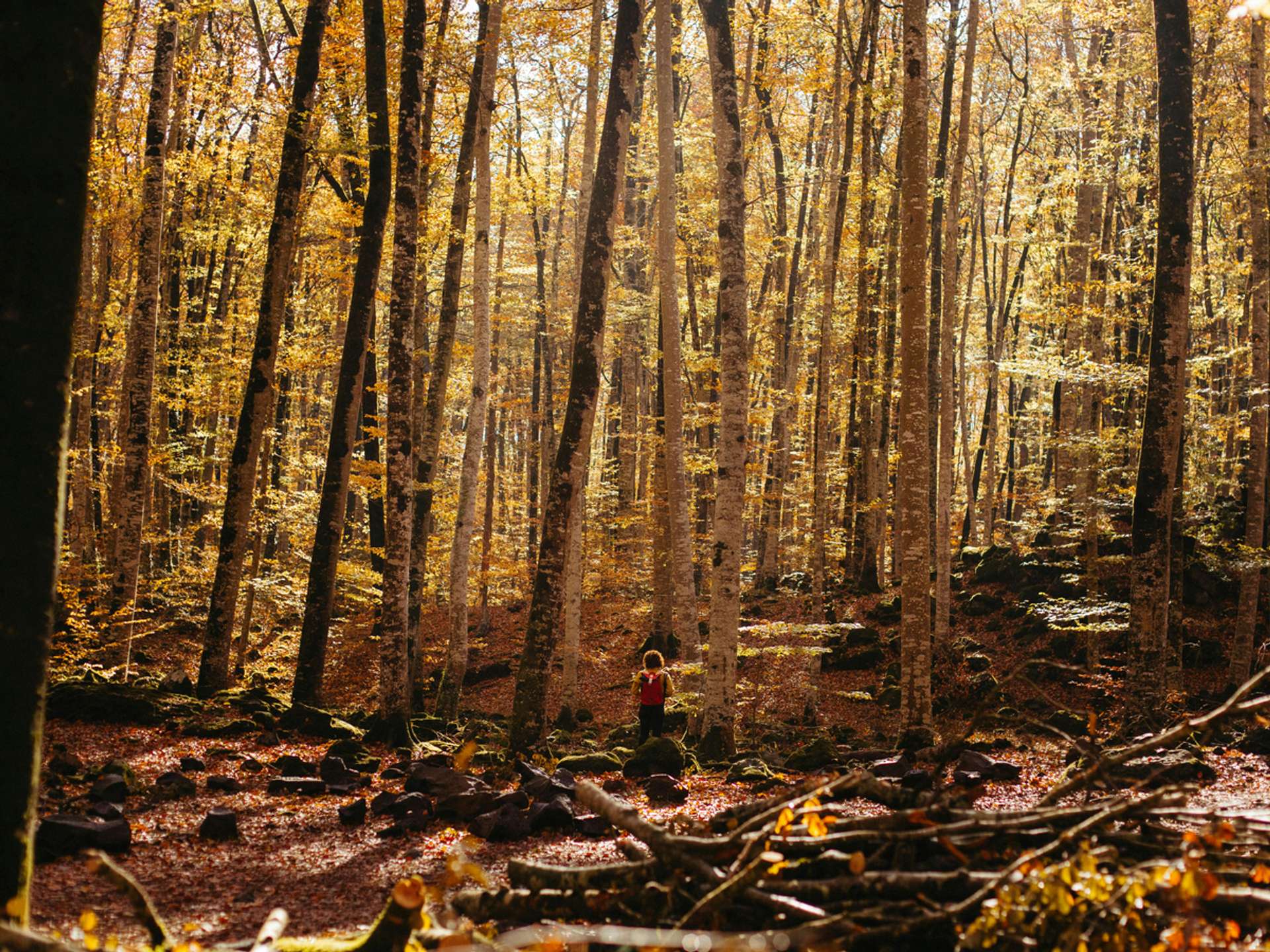 10 Best Girona Multiday Tours in Fall