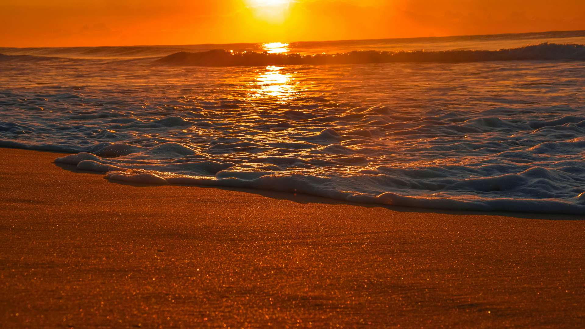 Gold Coast Tours and Trips