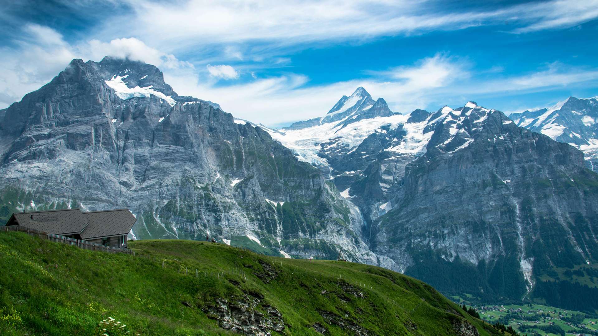 Grindelwald Tours and Trips