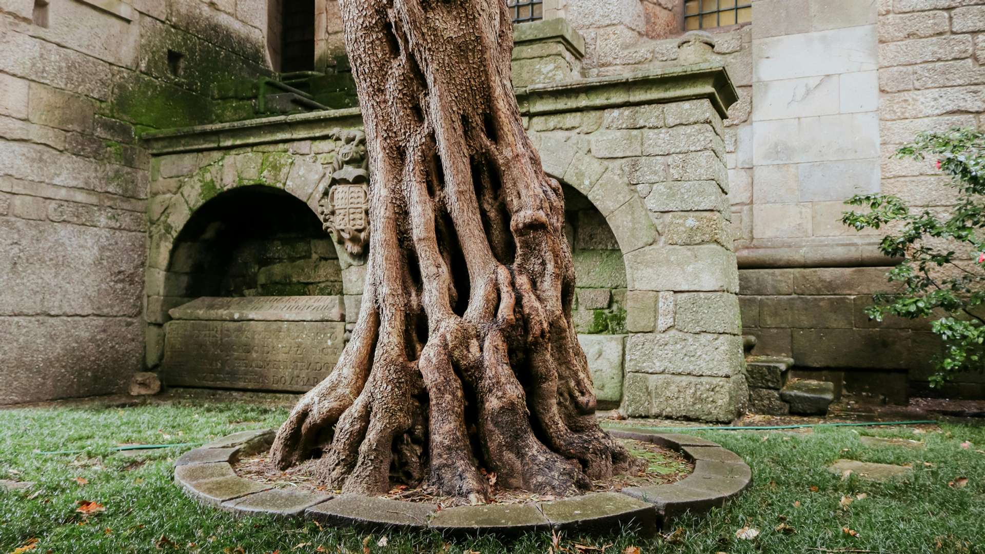 Guimaraes Tours and Trips