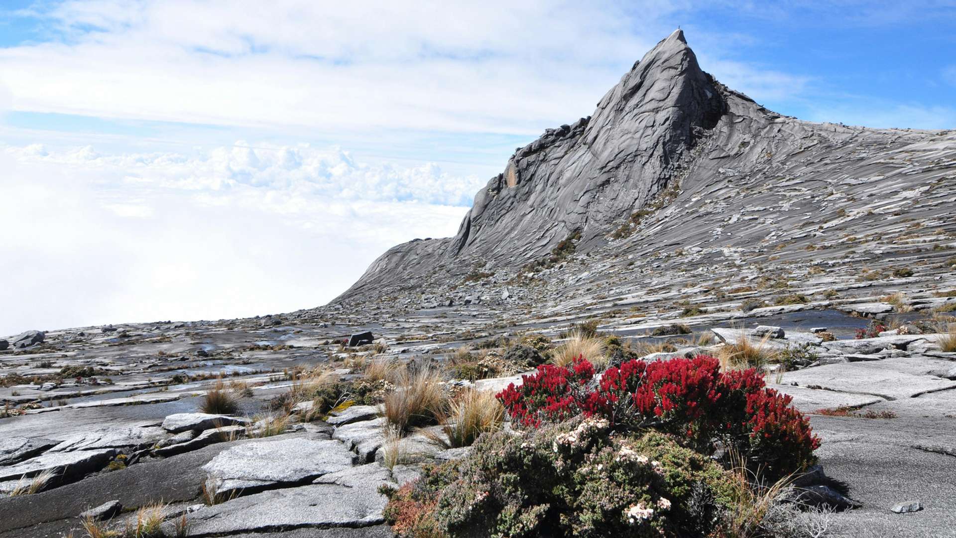 Gunung Mulu National Park Tours and Trips