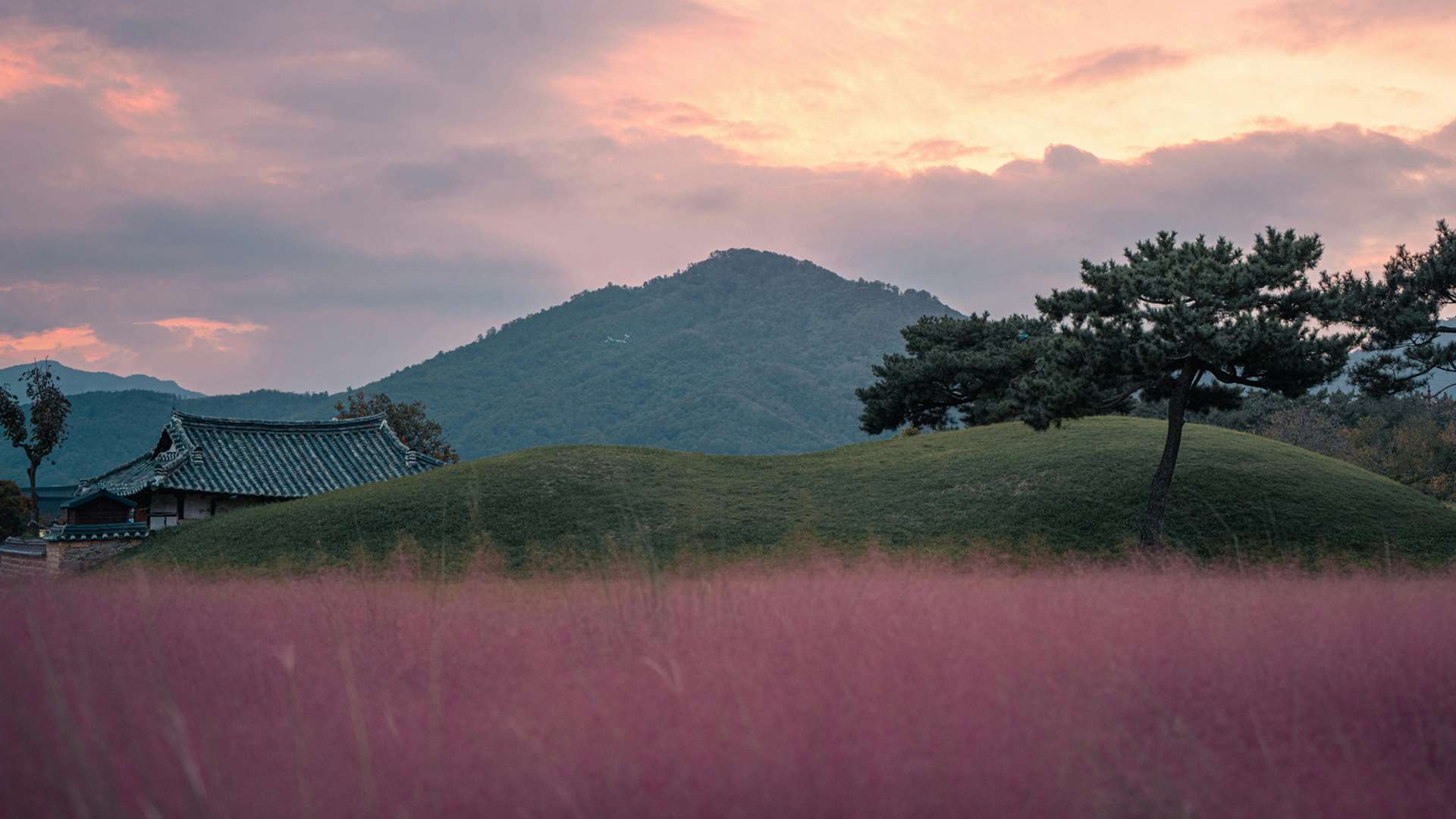 Gyeongju Tours and Trips