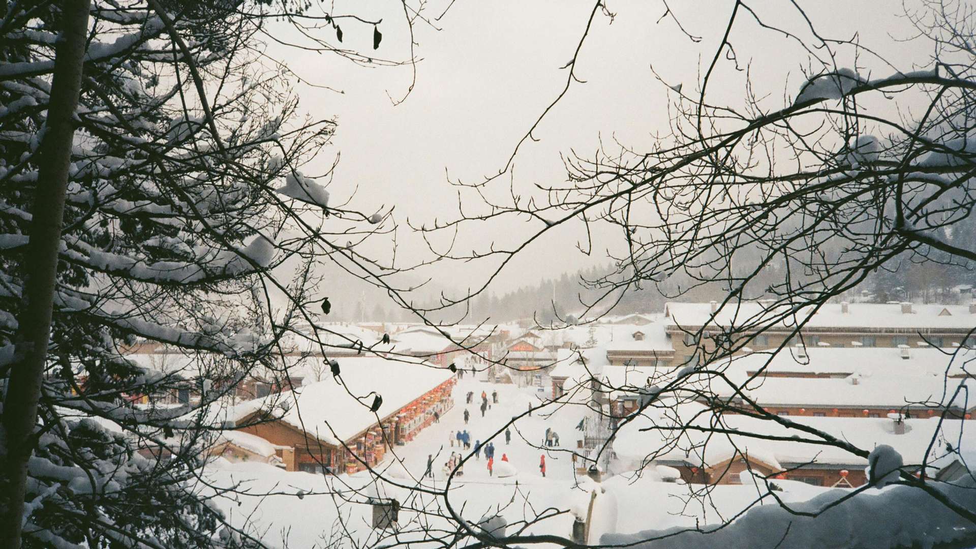 Harbin Tours and Trips