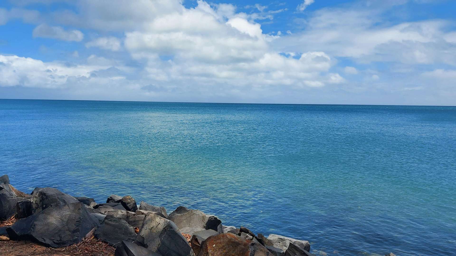 Hervey Bay Tours and Trips