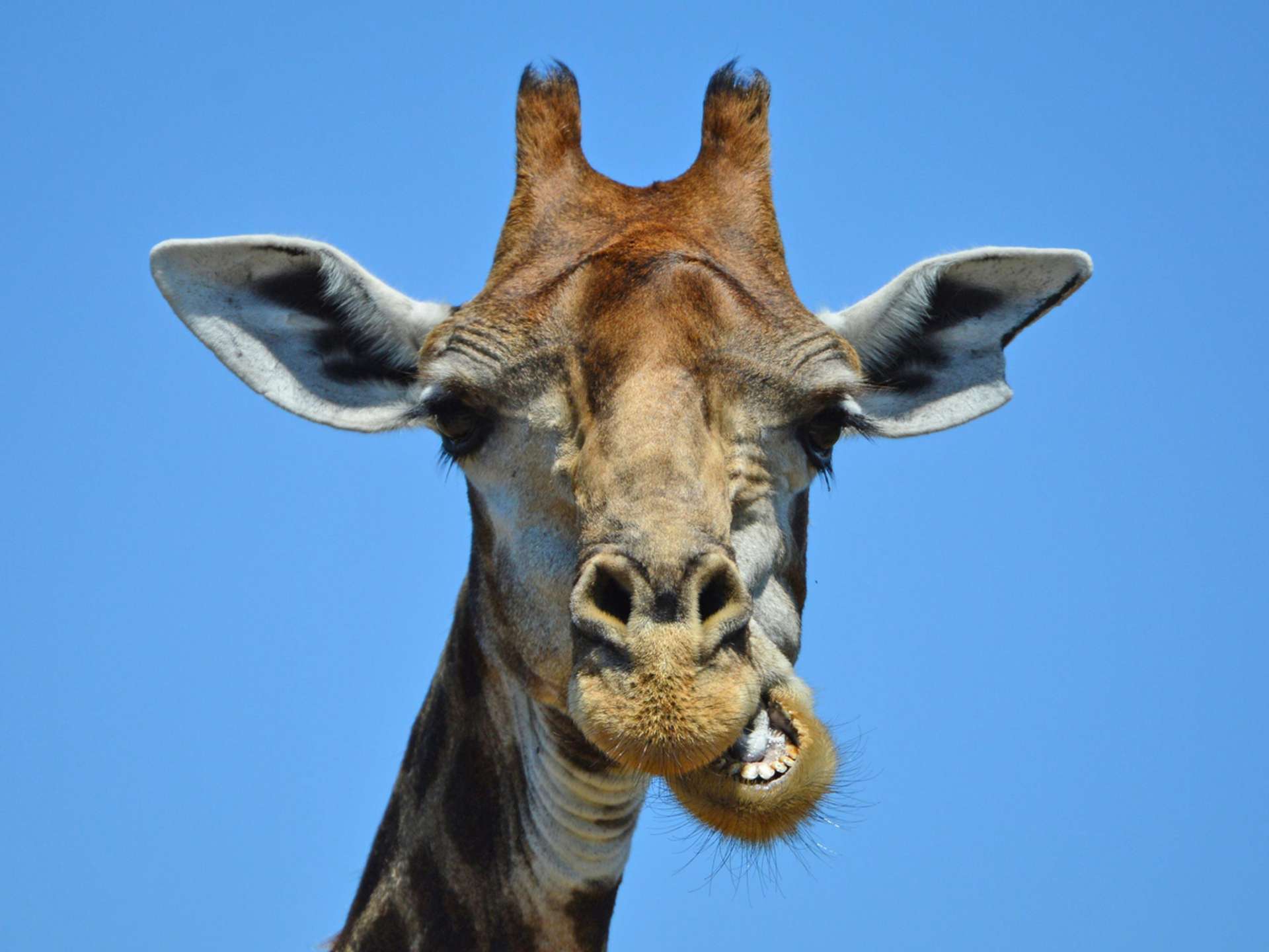 10 Best Tours and Trips in Hoedspruit in 2025/2026 - Compare Prices