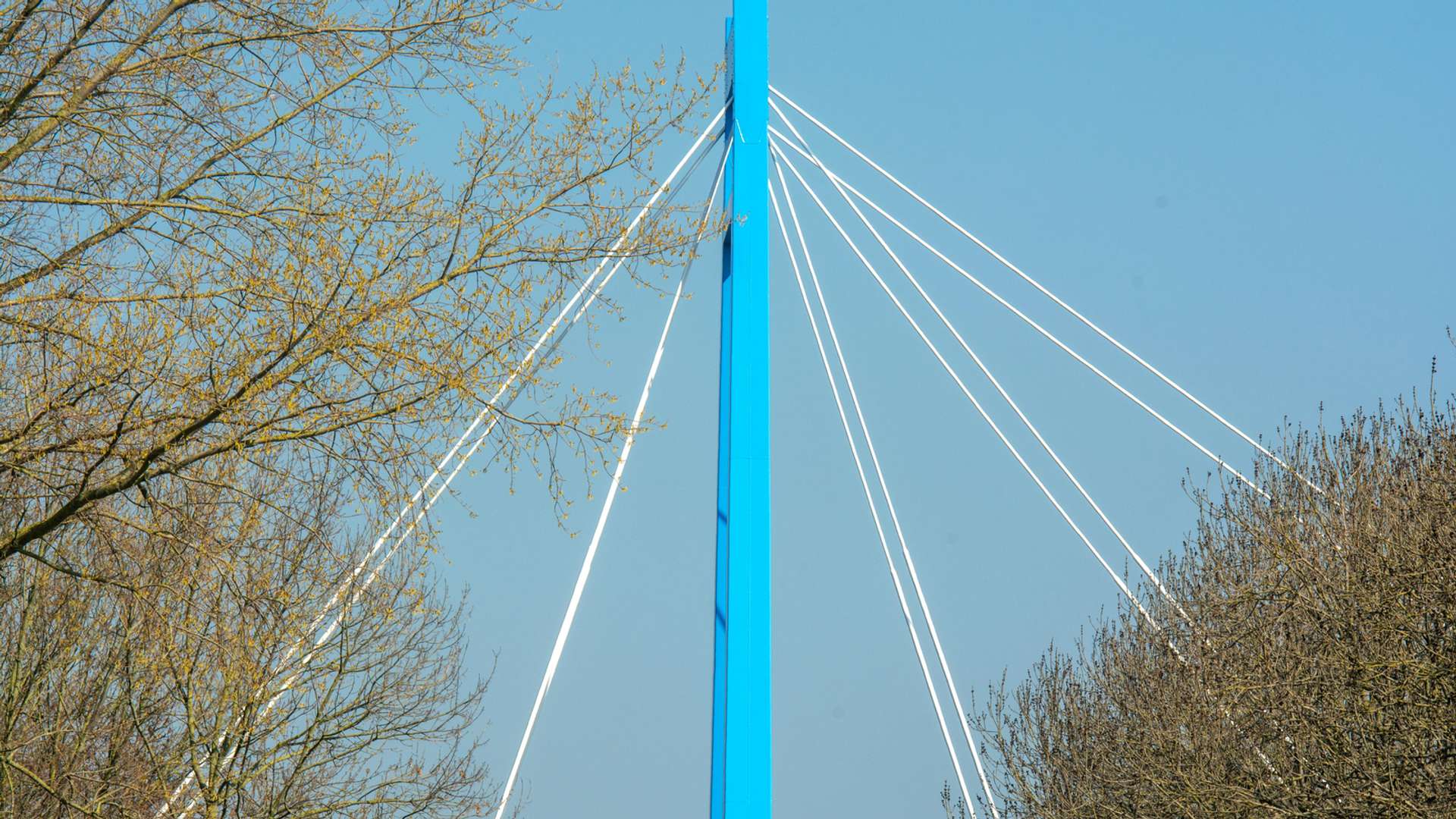 Hoorn Tours and Trips