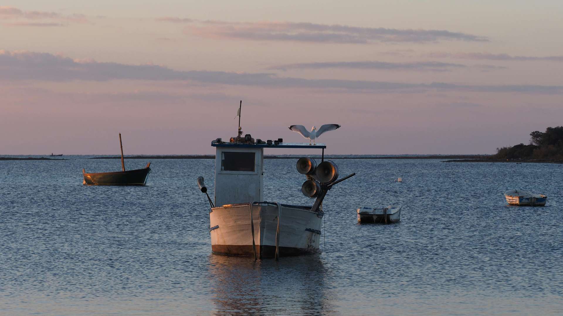 Salento Tours and Trips