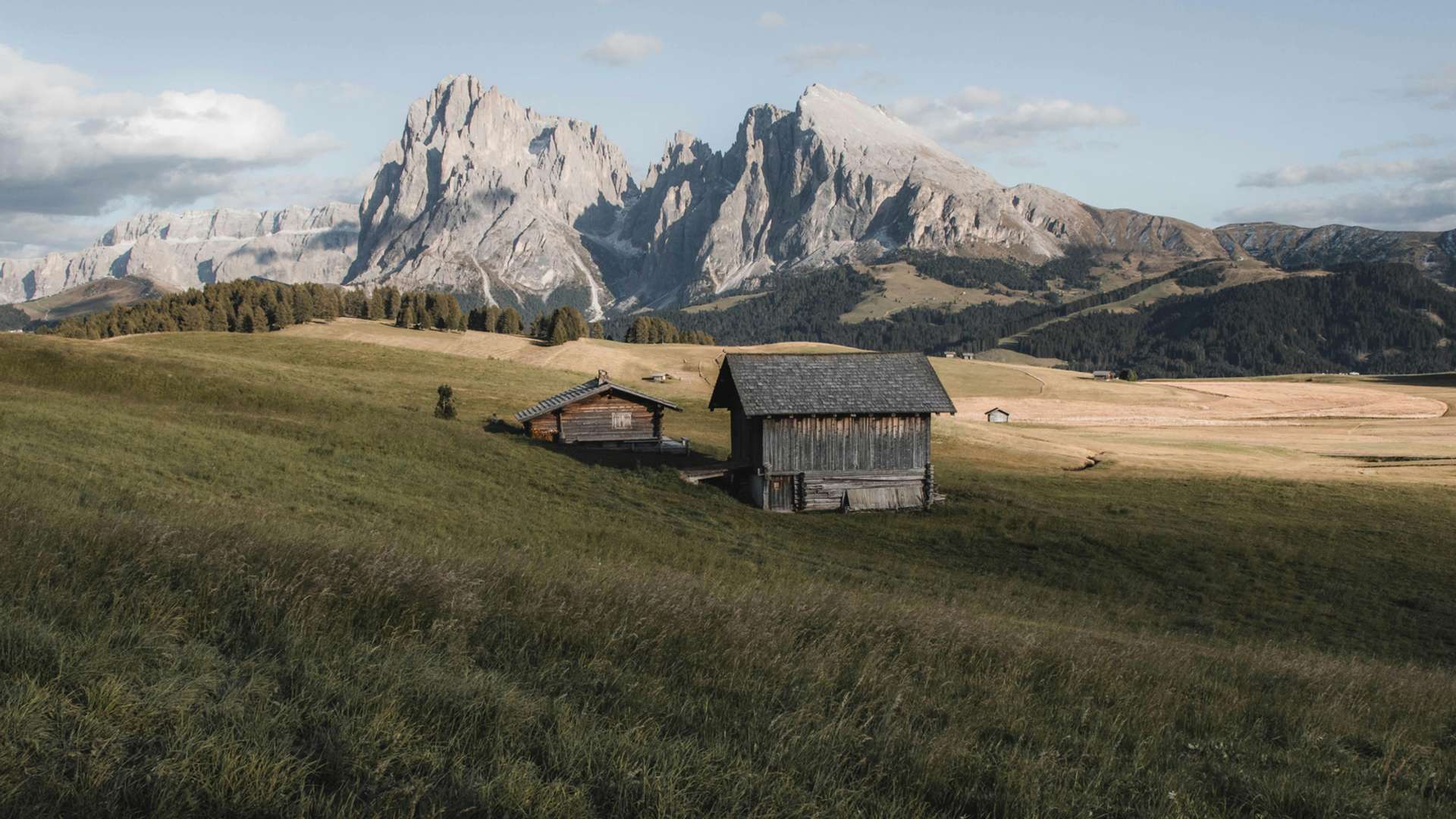 Tyrol Tours and Trips