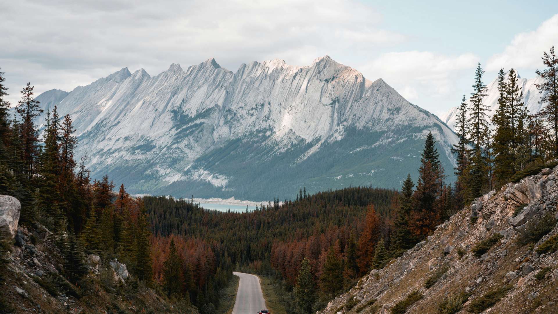 Jasper Tours in Spring