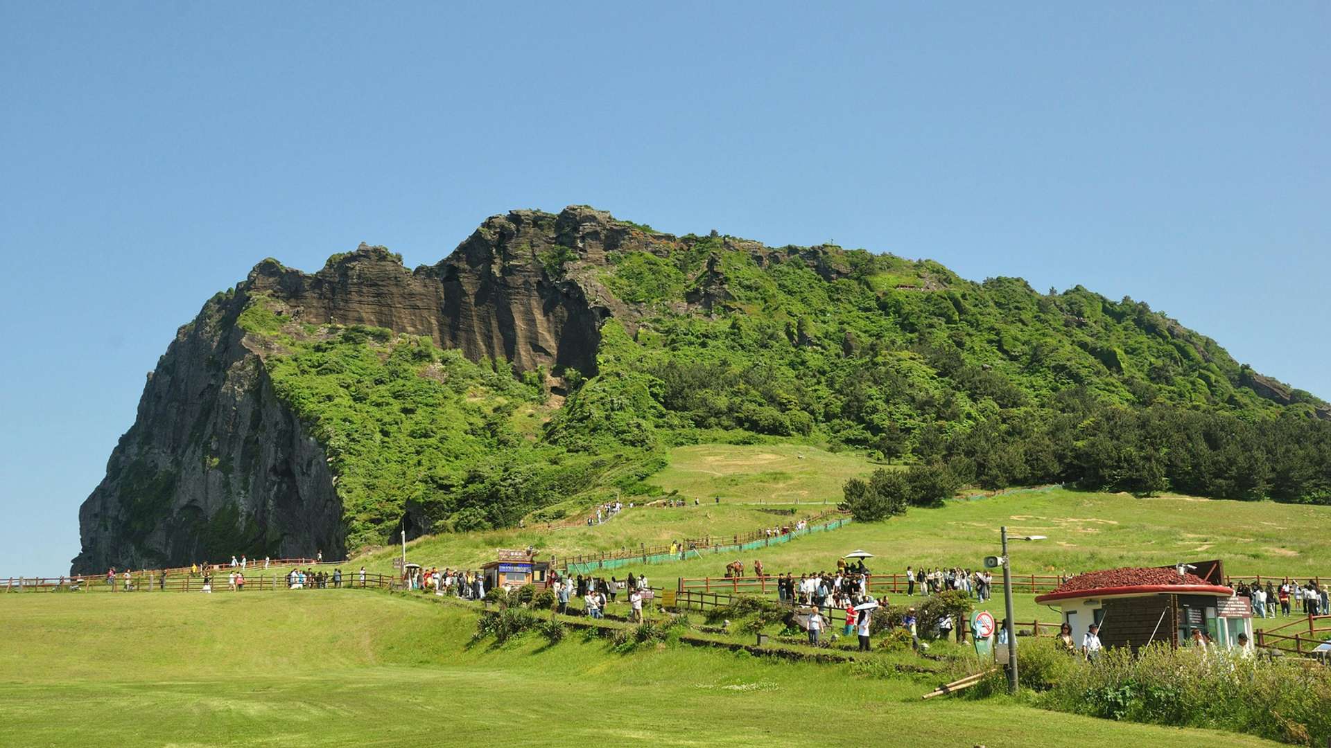 Jeju Tours in Spring