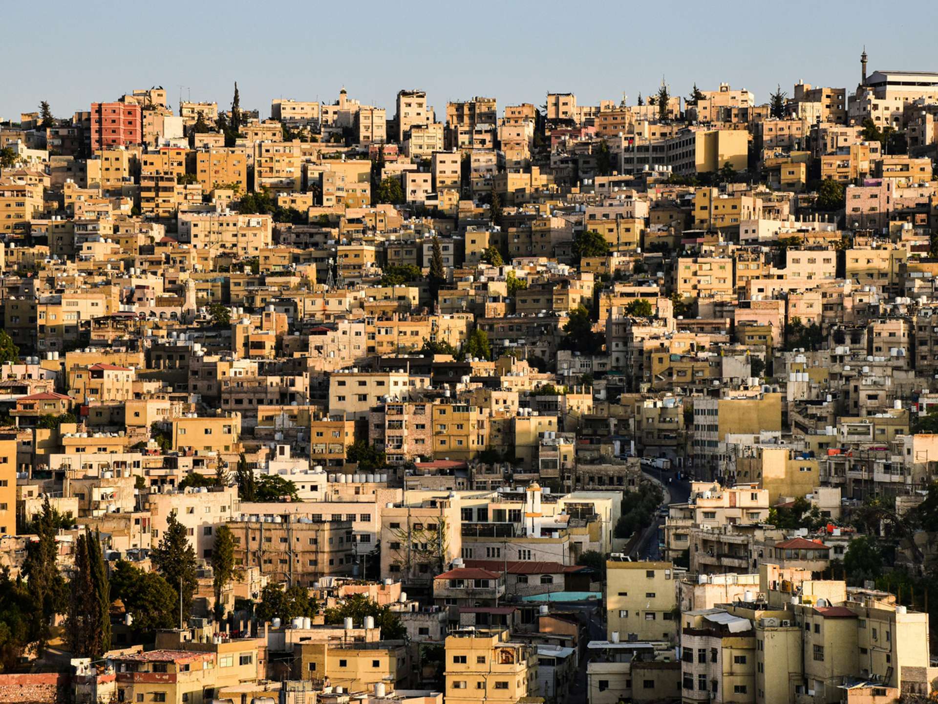 10 Best Tours and Trips in Jerash in 2025/2026 - Compare Prices