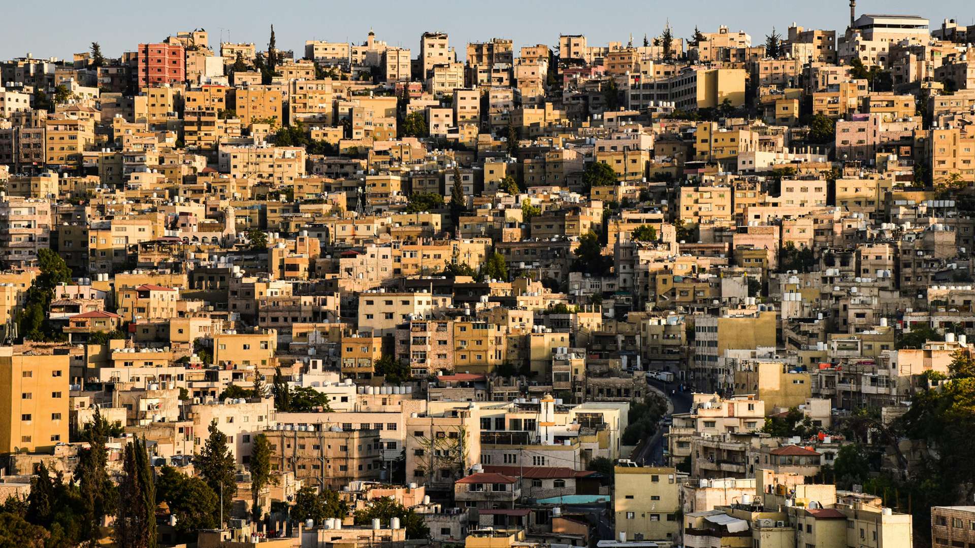 Jerash Tours and Trips