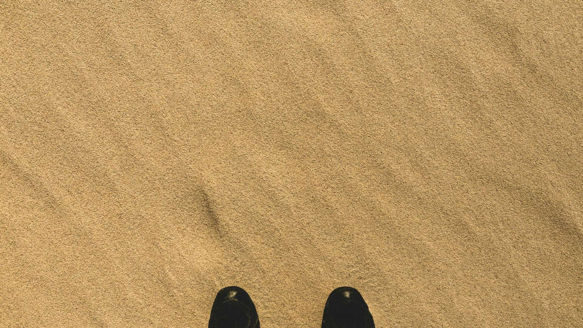 Jurmala Tours and Trips