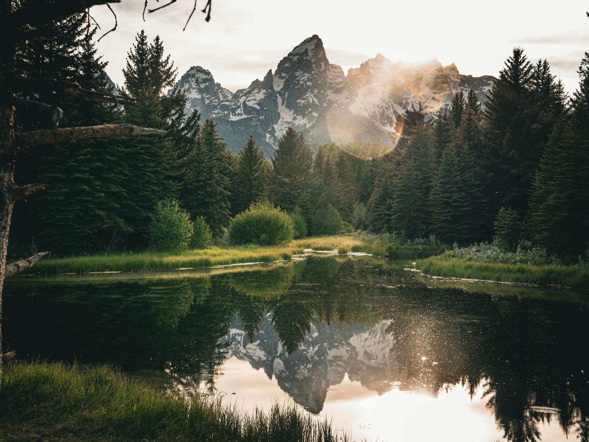 10 Best Tours and Trips in Kalinzu Forest Reserve in 2025/2026 - Compare Prices