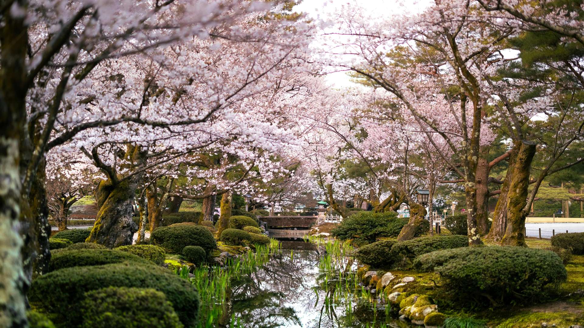 Kanazawa Tours and Trips