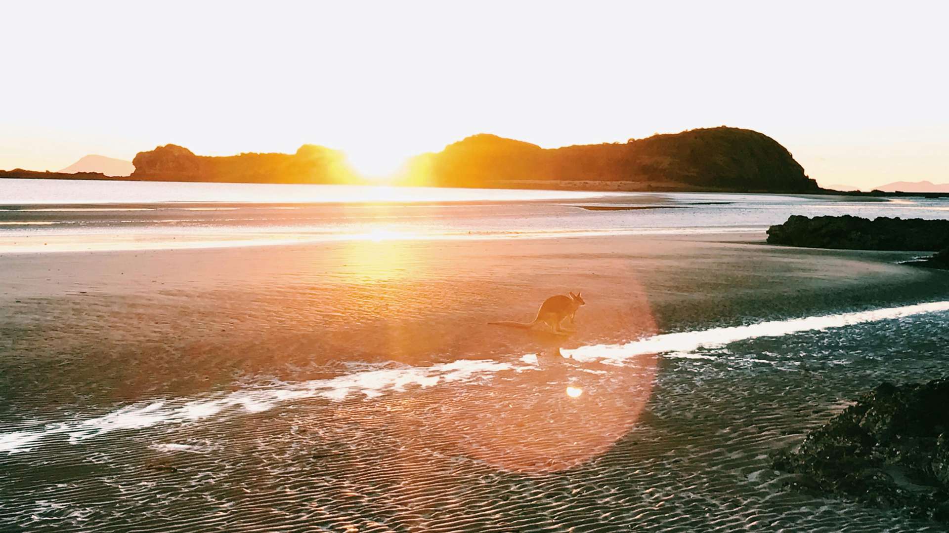 Kangaroo Island Tours and Trips