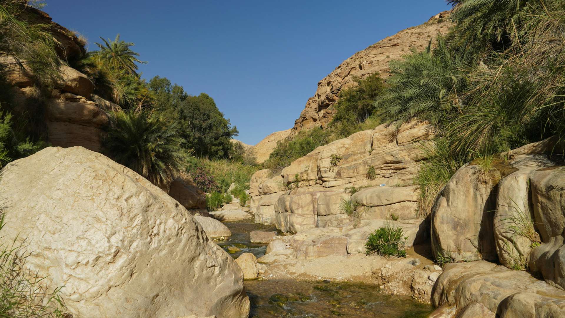 Kerak Tours and Trips