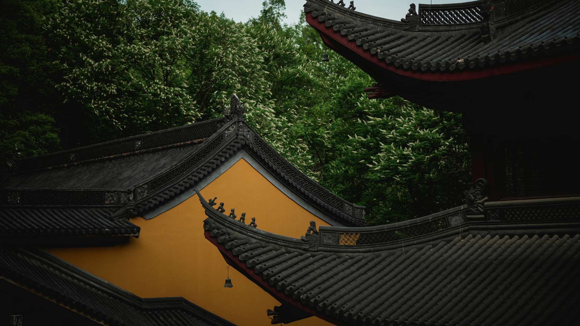 Kerang Tours and Trips