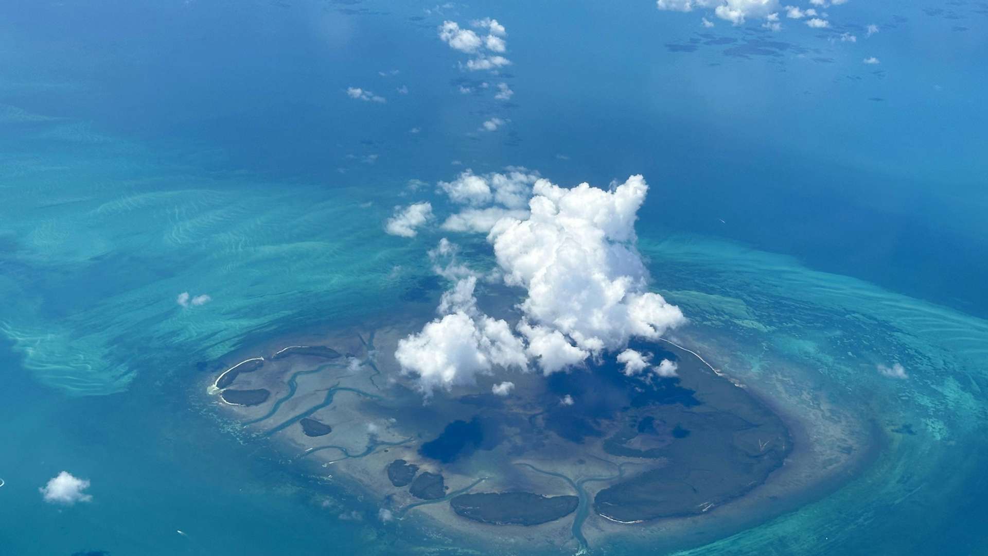 Key West Tours and Trips