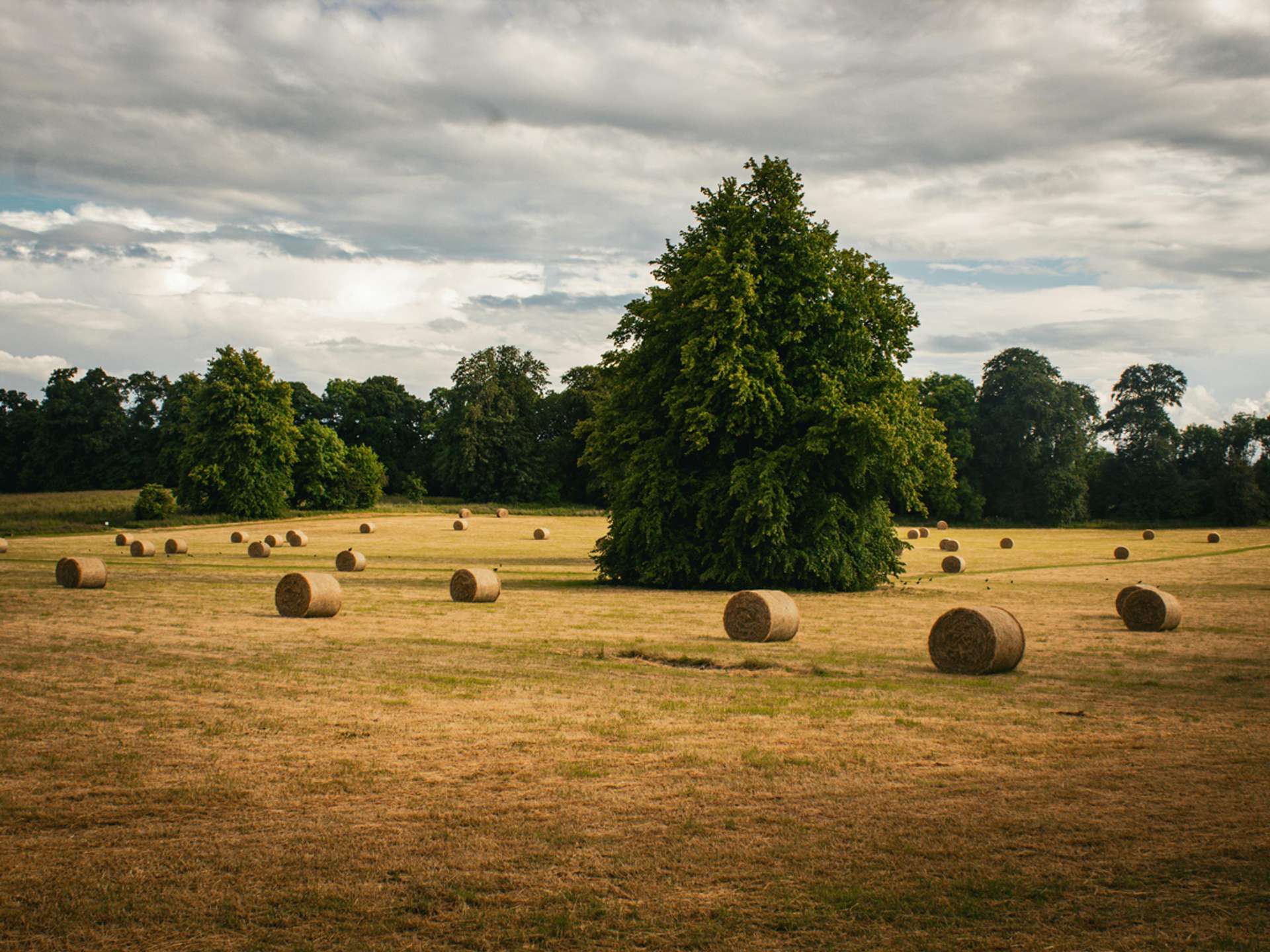 10 Best Tours and Trips in Kilkenny in 2025/2026 - Compare Prices
