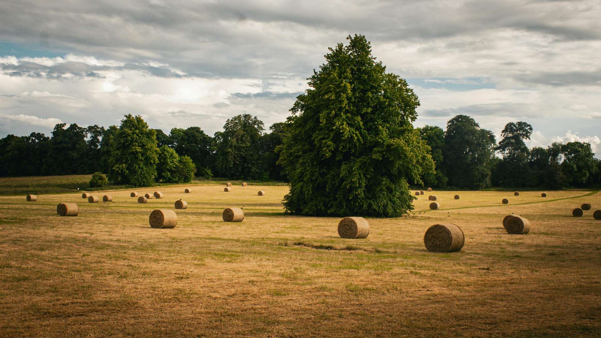 Kilkenny Tours and Trips