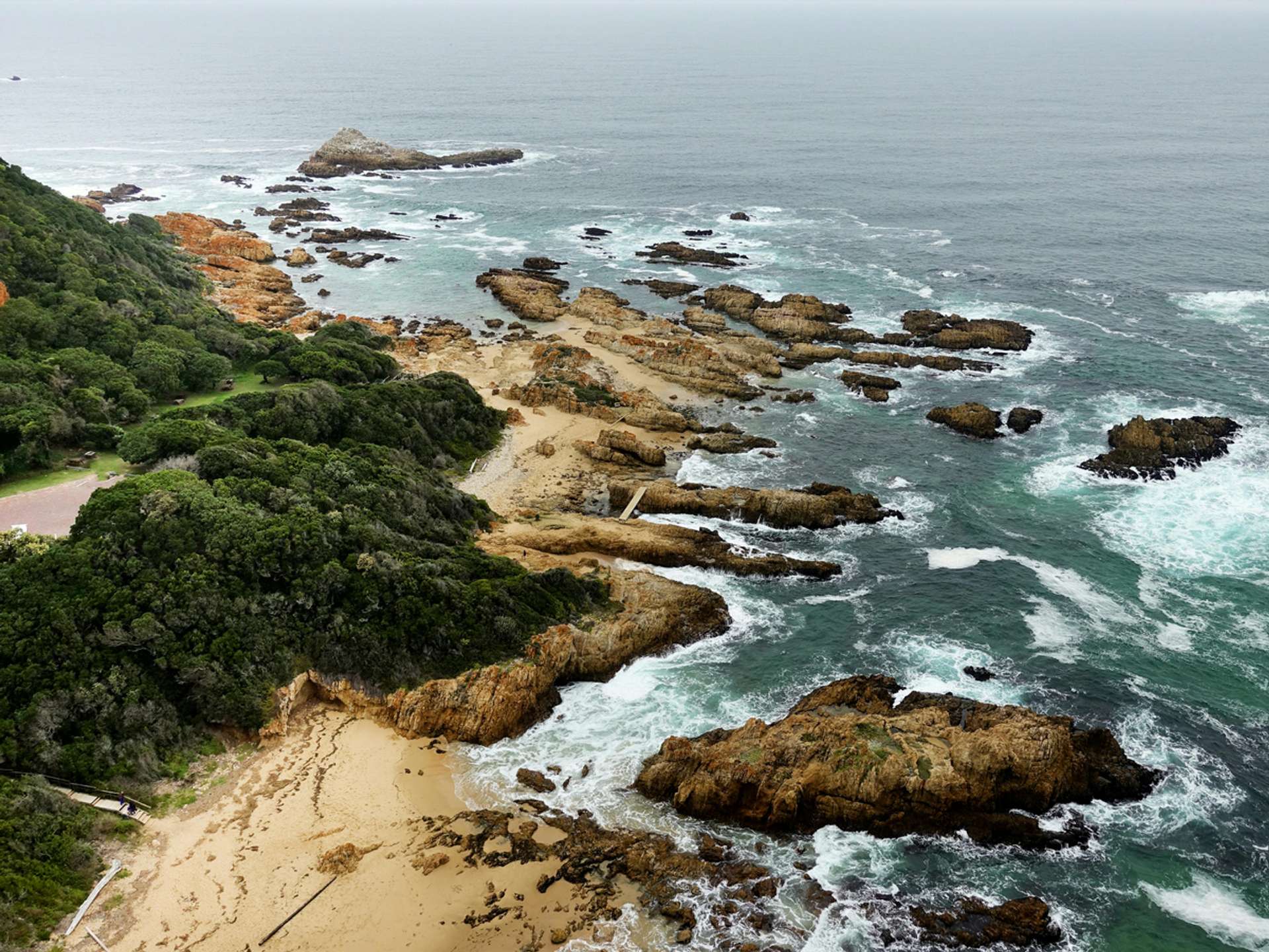 10 Best Tours and Trips in Knysna in 2025/2026 - Compare Prices