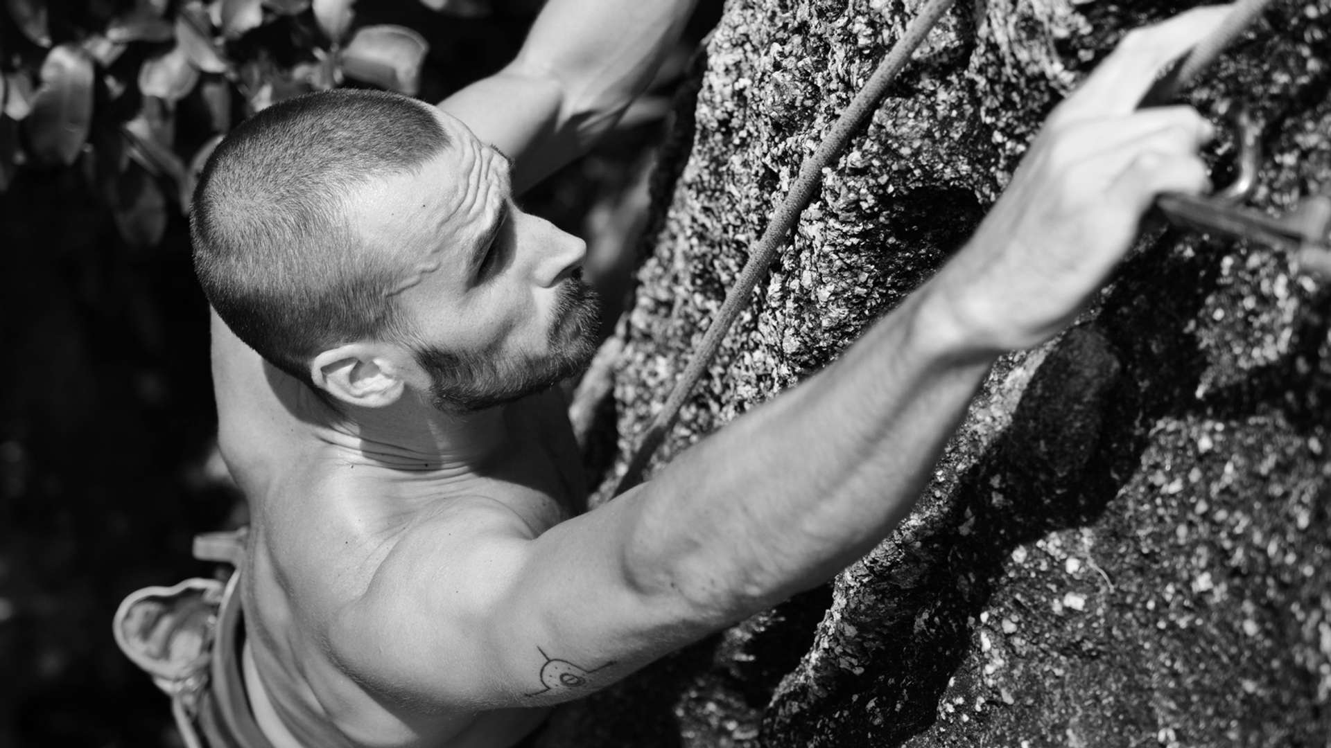 Ko Tao Tours and Trips