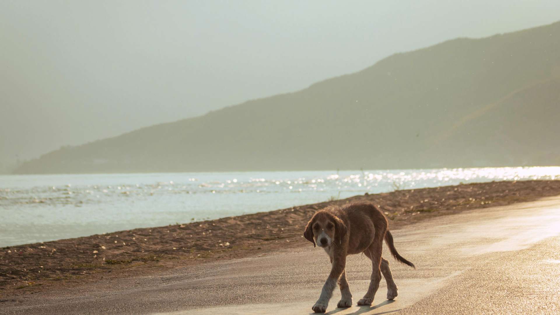 Korce Tours and Trips