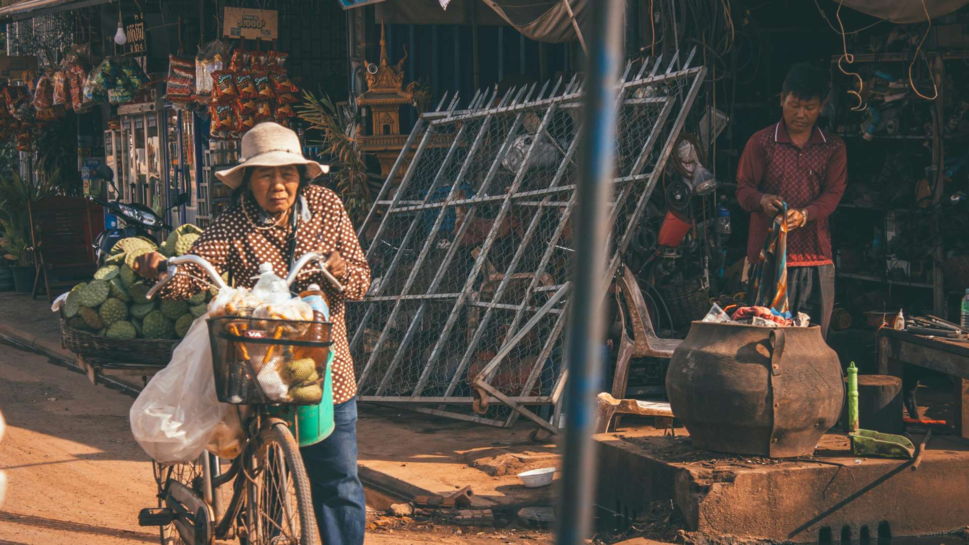 Kratie Tours and Trips